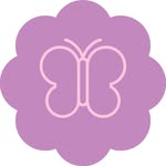 🦋 K-Pop Wonderland 🦋