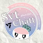 Seventeen Chattanooga Carats 💎