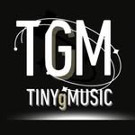 TINYgMUSIC