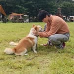 Kpop Events in Oregon / PNW🌲