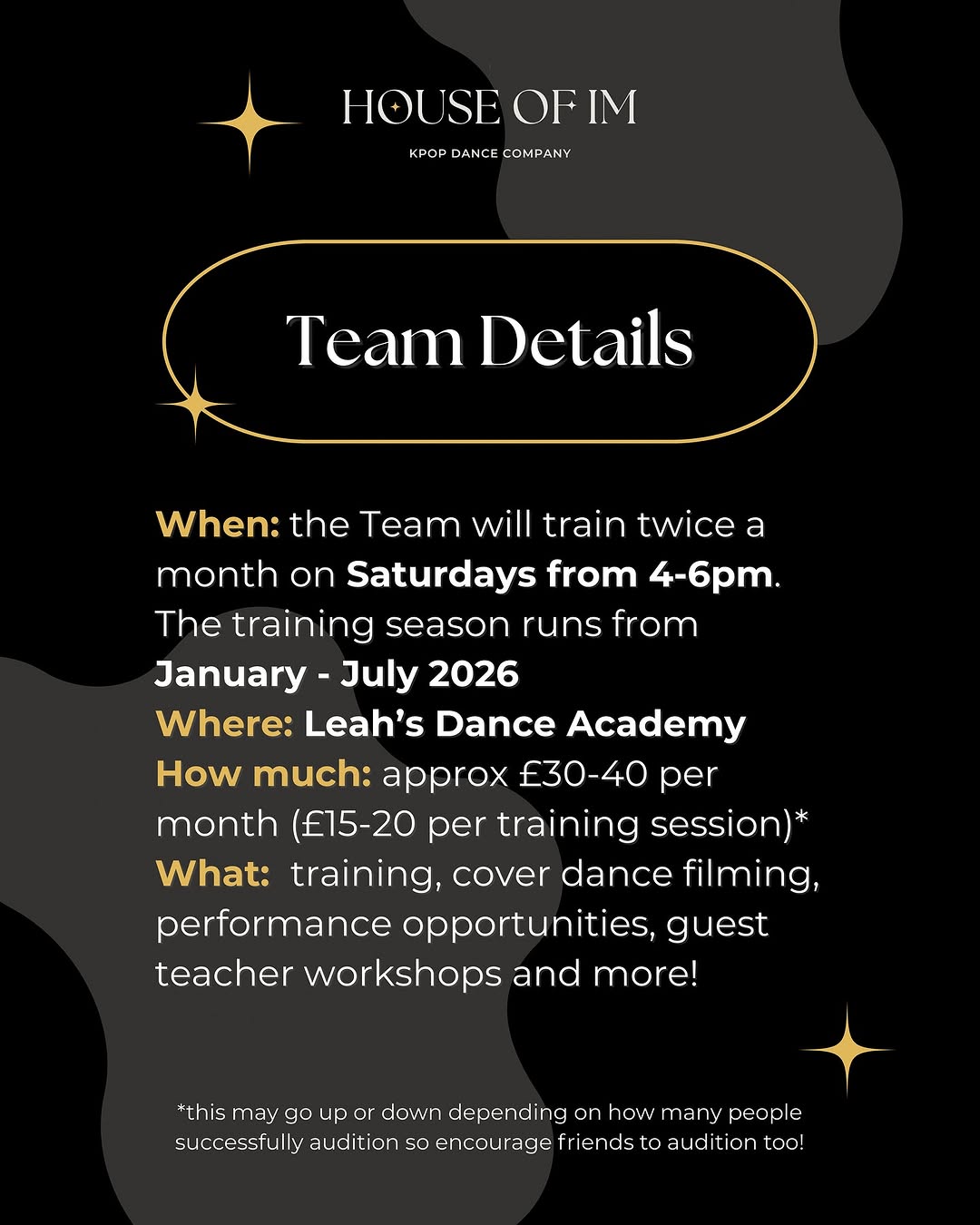 K-Pop Training Team Auditions - Image 7