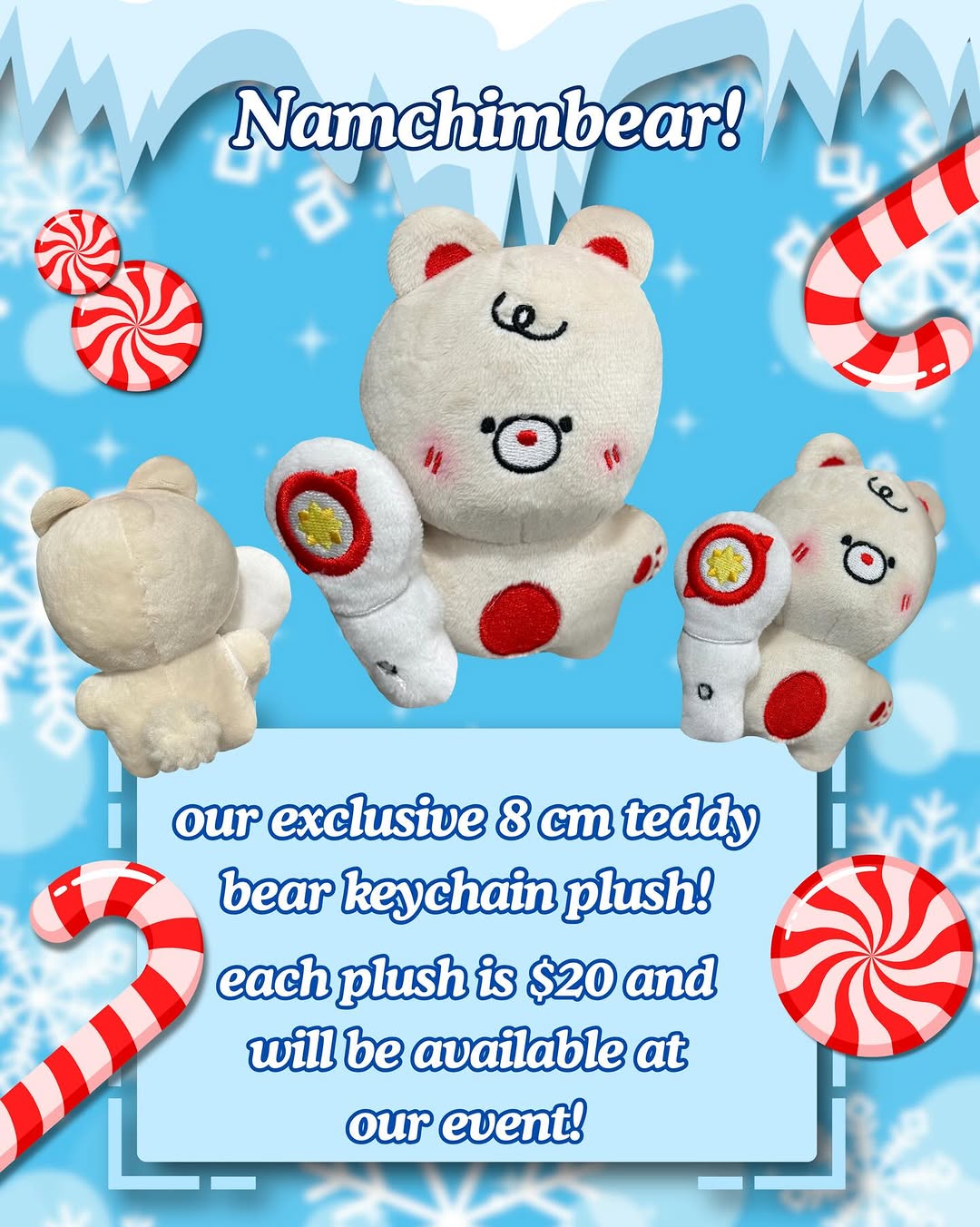 BUILD-A-SKZ Winter Workshop - Image 5