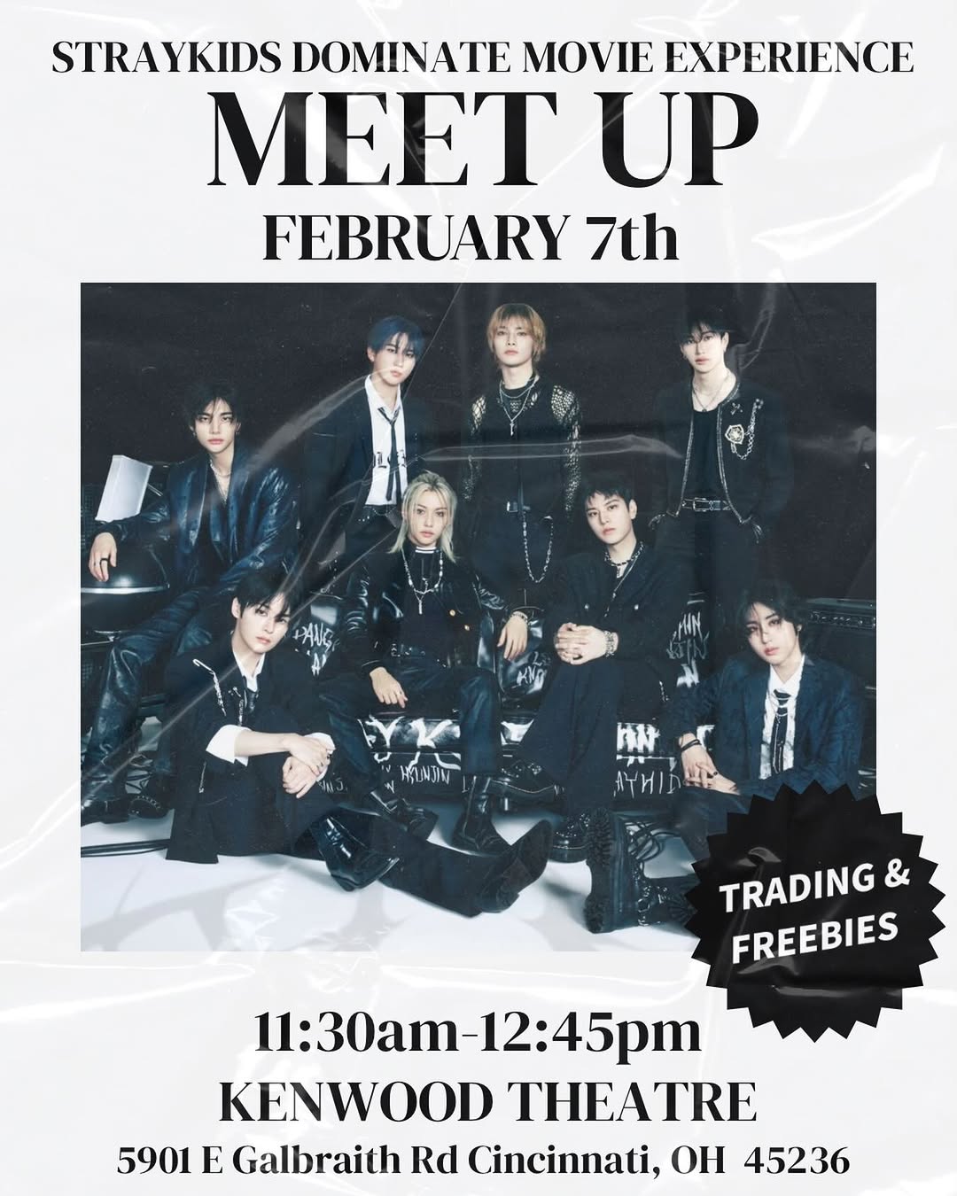 STRAYKIDS DOMINATE MOVIE EXPERIENCE