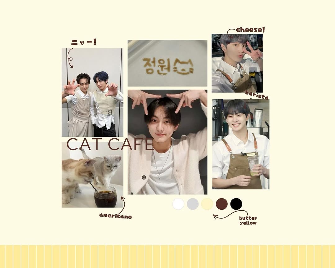 Taewon’s Cat Cafe - Image 6